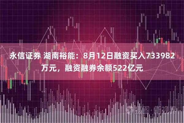 永信证券 湖南裕能:8月12日融资买入733982万元,融资融券余额522亿元