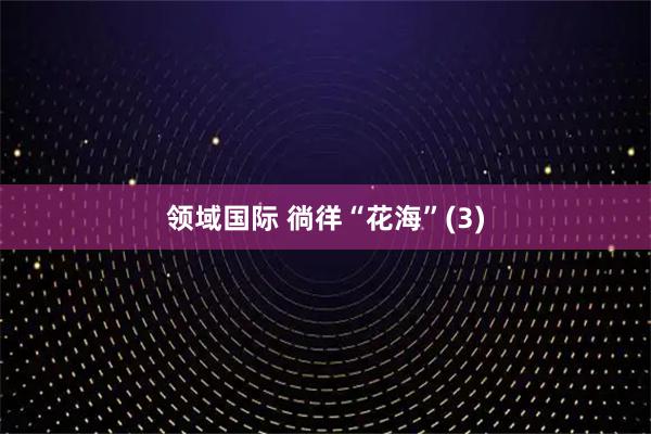 领域国际 徜徉“花海”(3)