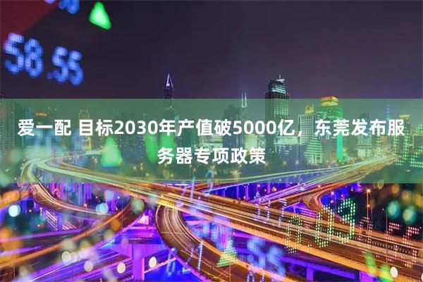 爱一配 目标2030年产值破5000亿，东莞发布服务器专项政策