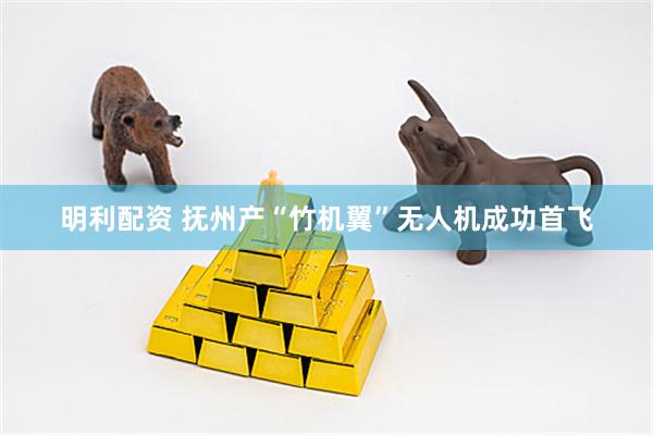 明利配资 抚州产“竹机翼”无人机成功首飞